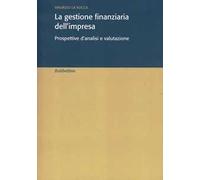 La gestione finanziaria dell'impresa. Prospettive d'analisi e valutazione