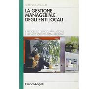 La gestione manageriale degli enti locali. Il processo di programmazione e i relativi strumenti manageriali