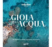 La gioia dell'acqua. Un mondo di sublimi esperienze acquatiche. Ediz. illu...