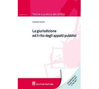 La giurisdizione ed il rito degli appalti pubblici