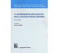 La giurisdizione specializzata nella giustizia penale minorile