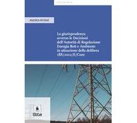 La giurisprudenza avverso le decisioni dell'Autorità di Regolazione Energia Reti e Ambiente in attuazione della delibera 188/2012/E/Com