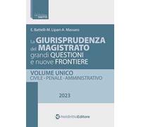 La giurisprudenza del magistrato. Grandi questioni e nuove frontiere. Civile, penale, amministrativo