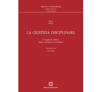 La giustizia disciplinare. I magistrati ordinari. Quali controlli sui controllori?