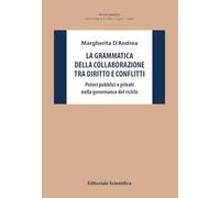 La grammatica della collaborazione tra diritto e conflitti. Poteri pubblici e privati nella governance del riciclo
