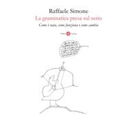 La grammatica presa sul serio. Come è nata, come funziona e come cambia
