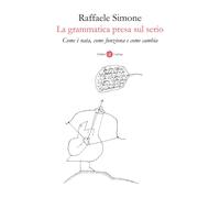 La grammatica presa sul serio. Come è nata, come funziona e come cambia