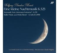 La Grande Ecurie Et La Chambre Du Roy, Malgoire Jean-Claude - Eine Kleine Nacht