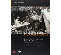 La grande guerra nella valle d'Ampezzo. 1916. Cinque Torri, Lagazuoi, Forte Tre Sassi (Vol. 2)