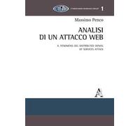 La guerra nel cyberspazio. Il fenomeno del distributed denial of services attack