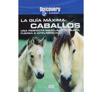 La Guía Máxima - Caballos