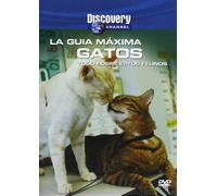 La Guía Máxima -. Gatos