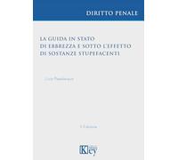 La guida in stato di ebbrezza e sotto l'effetto di sostanze stupefacenti