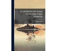 La HiÃ(c)rarchie Dans L'univers Chez Spinoza