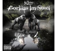 La Honda - Gorillas im Nebel