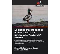 La Lagoa Maior: analisi ambientale di un patrimonio "naturale" urbano: L'insabbiamento e la qualità fisico-chimica delle acque superficiali della Lagoa Maior nel comune di Três Lagoas/MS