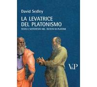 La levatrice del platonismo. Testo e sottotesto nel «Teeteto» di Platone