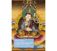 La liberazione spontanea. Insegnamenti sui sei bardo. Un completamento del...