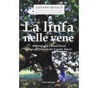 La linfa nelle vene. Alberografie a Nord-Ovest lungo gli itinerari dei grandi alberi