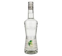 La Liqueur de Monin MANZANA VERDE 20% Vol. 0,7l