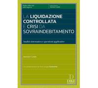 La liquidazione controllata e crisi da sovraindebitamento. Analisi sistemica e questioni applicative