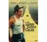 La Lunga Estate Calda (DVD) paul newman orson welles