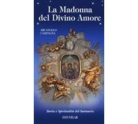 La Madonna del Divino Amore. Storia e spiritualità del santuario