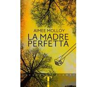 La madre perfetta