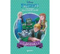 La magia delle luci del Nord. Frozen