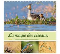 La magie des oiseaux (Calendrier mural carré 2026 30x30 cm) Calendrier double avec une page pour vos prises de notes: Moments magiques d'oiseaux sauvages