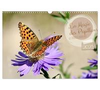LA MAGIE DES PAPILLONS 2025 (Calendrier mural 2025 DIN A3 vertical), CALVENDO calendrier mensuel: Des images enchanteurs des papillons dans son environnement naturel dans un jardin allemand.