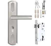 La maniglia di entrata della stanza dell'acciaio inossidabile della porta antifurto con e le chiavi di sicurezza delle leve facili installa la porta