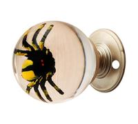 La maniglia di porta della sfera di cristallo decorativa premio lega la presa comoda sofisticata della decorazione domestica sofisticata