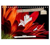 La Mante Orchidée (Calendrier de bureau 2027 DIN A5 vertical), CALVENDO calendrier mensuel: La Mante Orchidée, un chef-d'¿uvre naturel, fascine par sa beauté délicate, son art du camouflage et son élégance unique qui imitent à la perfection les fleurs exotiques.
