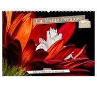 La Mante Orchidée (Calendrier mural 2027 DIN A2 vertical), CALVENDO calendrier mensuel: La Mante Orchidée, un chef-d'¿uvre naturel, fascine par sa ... imitent à la perfection les fleurs exotiques.