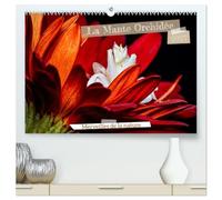 La Mante Orchidée (Calendrier mural haut de gamme 2027 DIN A2 vertical), CALVENDO calendrier mensuel: La Mante Orchidée, un chef-d'¿uvre naturel, ... imitent à la perfection les fleurs exotiques.