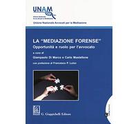 La «mediazione forense». Opportunità e ruolo per l'avvocato