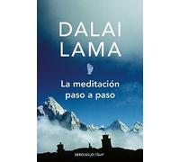 La meditacion paso a paso / Stages of Meditation