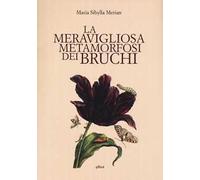 La meravigliosa metamorfosi dei bruchi