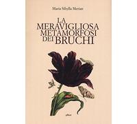 La meravigliosa metamorfosi dei bruchi