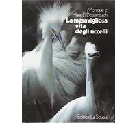 La meravigliosa vita degli uccelli