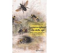 La meravigliosa vita delle api. Amore, lavoro e altri interessi di una società in fiore