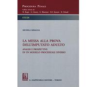 La messa alla prova dell'imputato adulto. Analisi e prospettive di un sistema processuale diverso