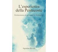 La mia esperienza di Pentecoste: Testimonianza di un inviato a Medjugorje