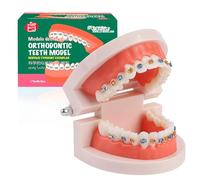 LA MIERE Modello ortodontico dentale con bretelle colorate, modello professionale per protesi dentaria, strumento di studio dimostrativo, attrezzatura didattica per denti con staffa