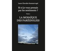 La Mosaïque des Paréidolies