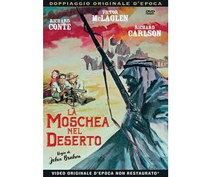 La Moschea Nel Deserto