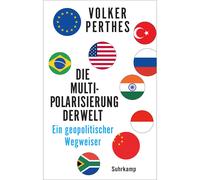 La multipolarizzazione del mondo: una guida geopolitica | Che nasce...