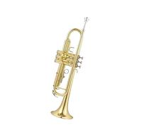 La Musica Per Tromba Professionale In Ottone Per Tromba Dorata Adotta Strumenti Musicali In Ottone Principianti Ottone Tromba