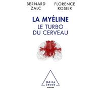 La myéline, le turbo du cerveau